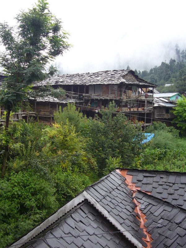Travel - India - Himachal Pradesh - Parvati Valley - Jari